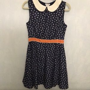 Stunning Peter Pan Collar Dress